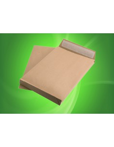 BB24 Plic cu burduf C4