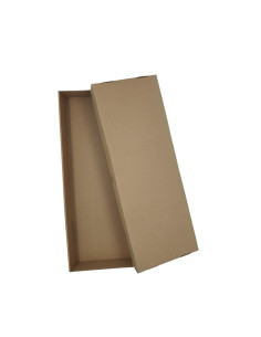 Container arhivare PAFF CA129-3N, capac detasabil, 470x170x50mm, carton 2