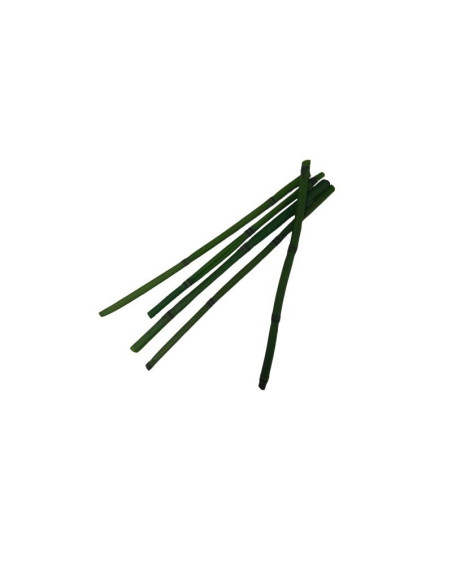 Foliage Bamboo, verde, punga 3 buc, Colorarte