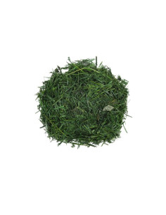 Foliage Herbe, punga 10g, Colorarte