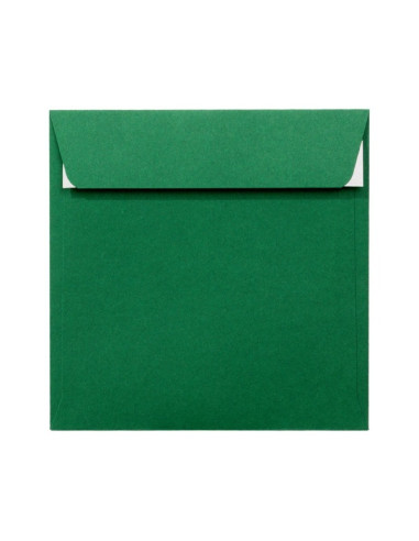 plic-color-pc1616vp-verde-padure-120gmp-160x160mm-autoadeziv-set-25-buc
