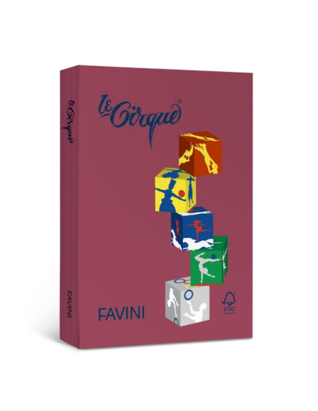 carton-colorat-a4-favini-300-160gmp-maro-piele-top-250-coli