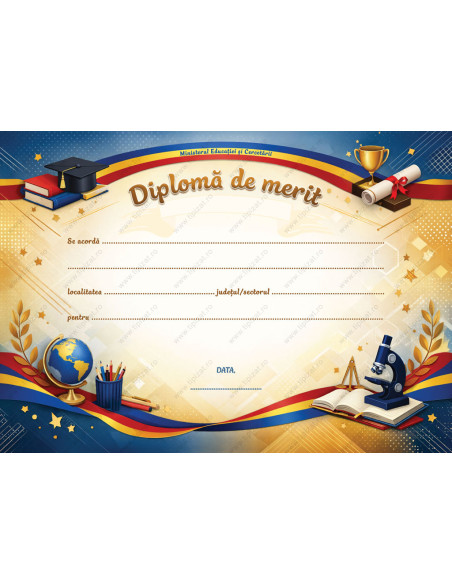 D010b Diploma de merit