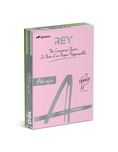 carton-colorat-a4-rey-adagio-80gmp-mix-pale-5x40coli-adap480p-rb-top-200-coli