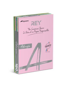 carton-colorat-a4-rey-adagio-160gmp-mix-pale-5x20coli-adap416p-rb-top-100-coli