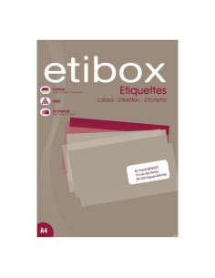 Etichete autocolante Etibox 100324, 6/A4, 99.1x93.1mm, permanente, colturi drepte, alb, top 100 coli (600 etichete)