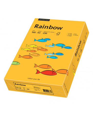 Carton colorat A4 Rainbow 88042417, 160g/mp, portocaliu medium, top 250 coli