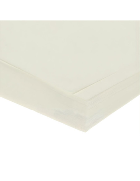 Carton colorat A4 CNX, 250g/mp, fildes perlat, top 100 coli