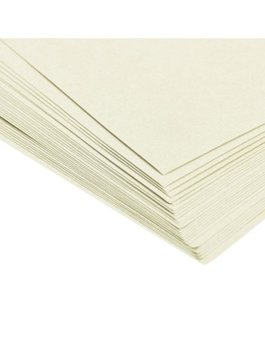 Coperta indosariere A4 CNX, carton imitatie piele, bej, 230g/mp, top 100 coli