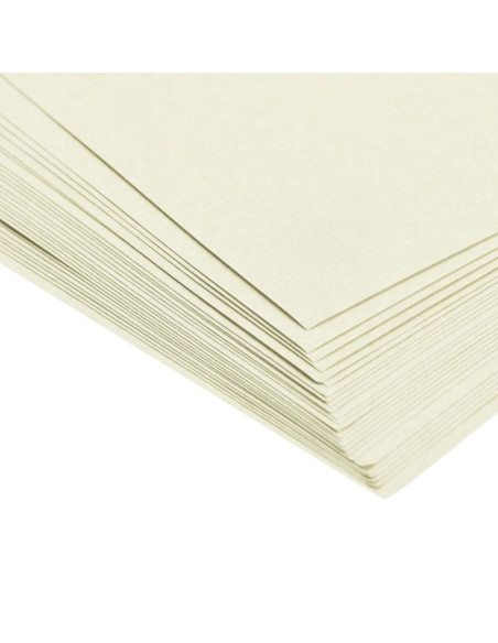 Coperta indosariere A4 CNX, carton imitatie piele, bej, 230g/mp, top 100 coli