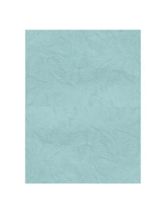 Coperta indosariere A4 CNX, carton imitatie piele, verde pastel, 230g/mp, top 100 coli