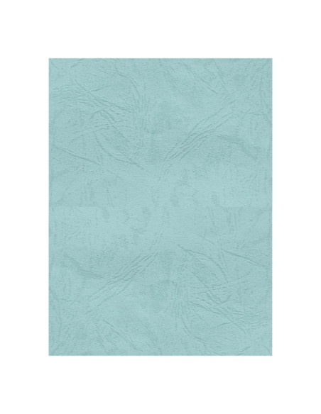 Coperta indosariere A4 CNX, carton imitatie piele, verde pastel, 230g/mp, top 100 coli