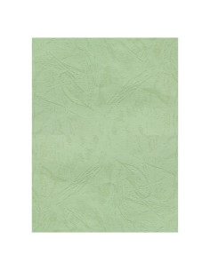 Coperta indosariere A4 CNX, carton imitatie piele, fistic, 230g/mp, top 100 coli