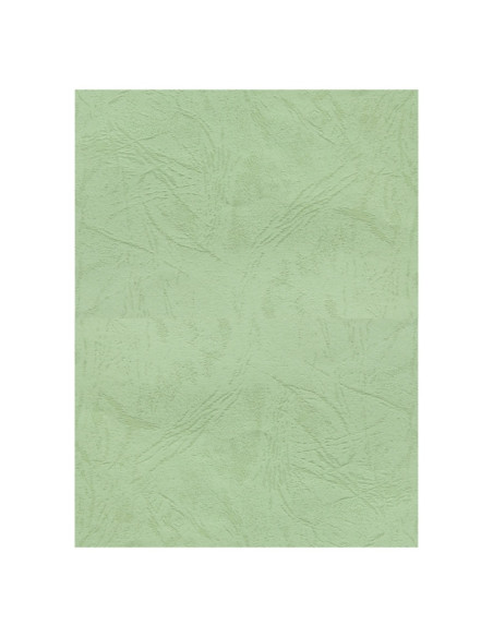 Coperta indosariere A4 CNX, carton imitatie piele, fistic, 230g/mp, top 100 coli