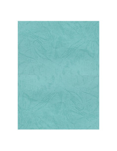 Coperta indosariere A4 CNX, carton imitatie piele, turquoise, 230g/mp, top 100 coli