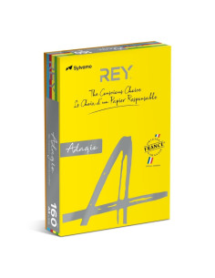 Hartie colorata A4 Rey Adagio, 80g/mp, mix intens, 5x40coli, ADAP480/I-RB, top 200 coli