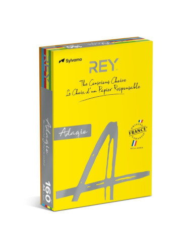 Hartie colorata A4 Rey Adagio, 80g/mp, mix intens, 5x40coli, ADAP480/I-RB, top 200 coli