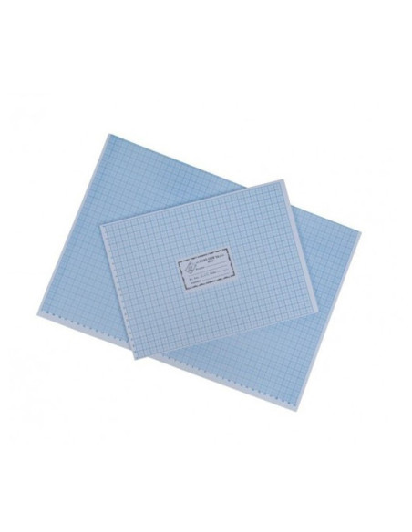 Hartie milimetrica A3 ROM, albastru, set 100 coli