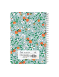 Blocnotes A5 Drasca, 60 file, 120g, velin, cu spira, 14.8x21cm, fruits tangerines 900900247 2