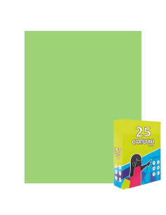 Carton colorat Fabrisa 15560/121, 50x65cm, 180g/mp, verde pastel, top 25 coli