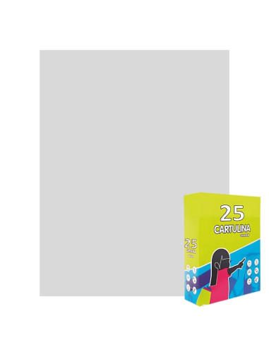 Carton colorat Fabrisa 15568/123, 50x65cm, 180g/mp, gri pastel, top 25 coli