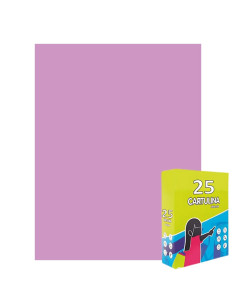 Carton colorat Fabrisa 15570/112, 50x65cm, 180g/mp, violet pastel, top 25 coli