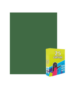 Carton colorat Fabrisa 15572/116, 50x65cm, 180g/mp, verde sparanghel intens, top 25 coli