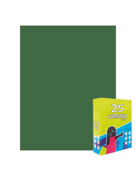 Carton colorat Fabrisa 15572/116, 50x65cm, 180g/mp, verde sparanghel intens, top 25 coli