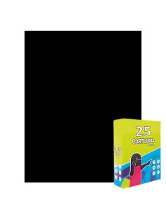 Carton colorat Fabrisa 15579/104, 50x65cm, 180g/mp, negru intens, top 25 coli