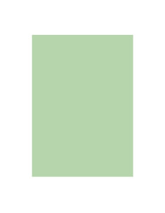 Carton colorat A4 Fabrisa 15512, 180g/mp, verde deschis pastel, top 250 coli 2