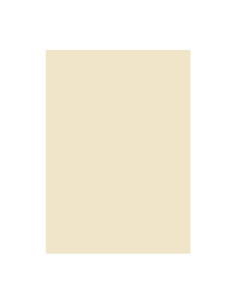 Carton colorat A4 Fabrisa 15513, 180g/mp, crem pastel, top 250 coli 2