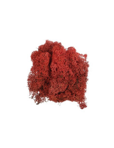 Licheni stabilizati, rosu, cu sclipici, punga 20g, Colorarte, Q1