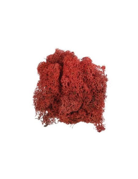 Licheni stabilizati, rosu, cu sclipici, punga 20g, Colorarte, Q1