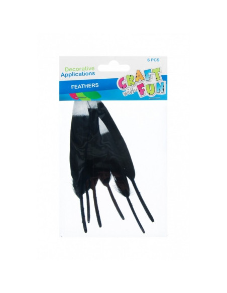 Accesorii creatie - pene, negru, argintiu, 12-15cm, set 6 buc, Craft with Fun, 463663