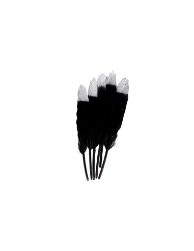 Accesorii creatie - pene, negru, argintiu, 12-15cm, set 6 buc, Craft with Fun, 463663