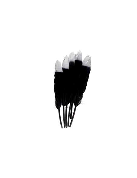 Accesorii creatie - pene, negru, argintiu, 12-15cm, set 6 buc, Craft with Fun, 463663