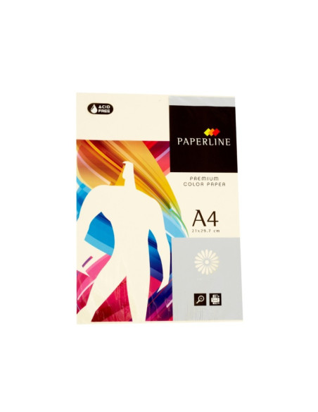 Hartie colorata A4 Fabrisa 15636/IT100, 80g/mp, fildes pastel, top 500 coli
