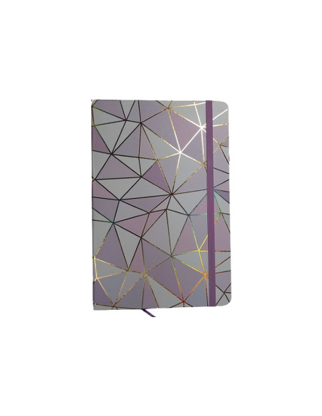 Jurnal A7 CNX Dungi si Forme 3781-1L, 160 pagini, coperta carton diverse culori, cu elastic