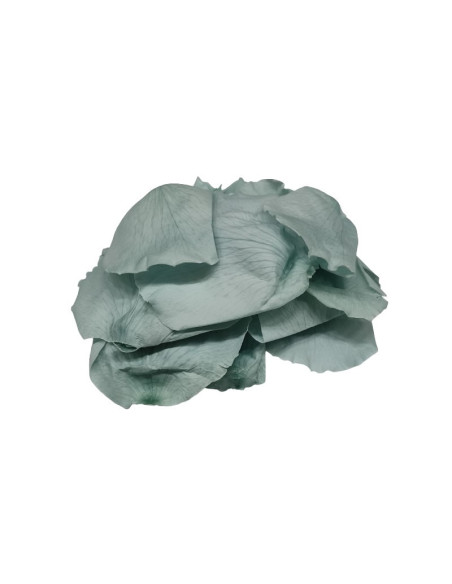 Foliage trandafir, blue ciel, petale, punga 6g, Colorarte