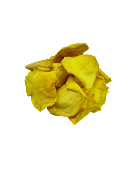 Foliage trandafir, galben pai, petale, punga 6g, Colorarte