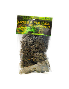 Licheni stabilizati, negru, punga 20g, Colorarte, Q1