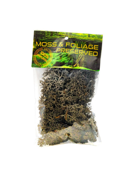 Licheni stabilizati, negru, punga 20g, Colorarte, Q1