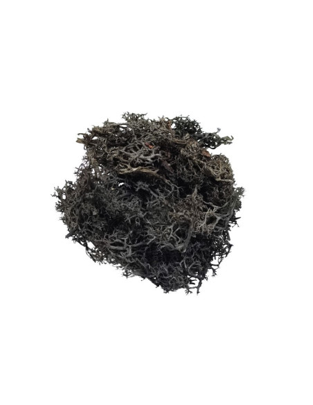 Licheni stabilizati, negru, punga 30g, Colorarte, Q2