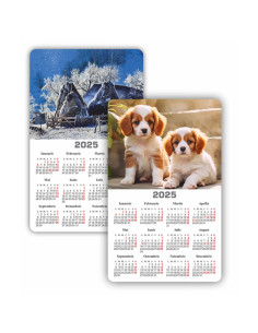 Calendar magnetic ARHI Diverse Imagini policromie, 9x14.5cm, coala 115g/mp