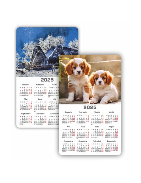 Calendar magnetic ARHI Diverse Imagini policromie, 9x14.5cm, coala 115g/mp