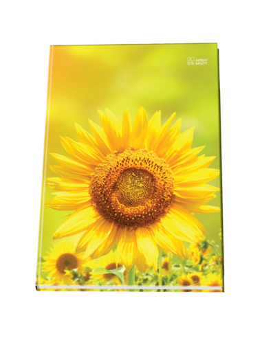 Registru A5 Papirny BRno ZKN 55105 CL, 96 file, matematica, coperta cartonata