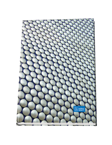 Registru A4 Papirny BRno ZKN 54100 CL, 96 file, velin, coperta cartonata