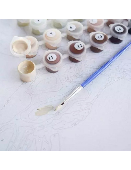 Set Pictura pe numere 40x50cm, Brushme - vals - panza, cadru de lemn, pensule, culori acrilice, BS52217