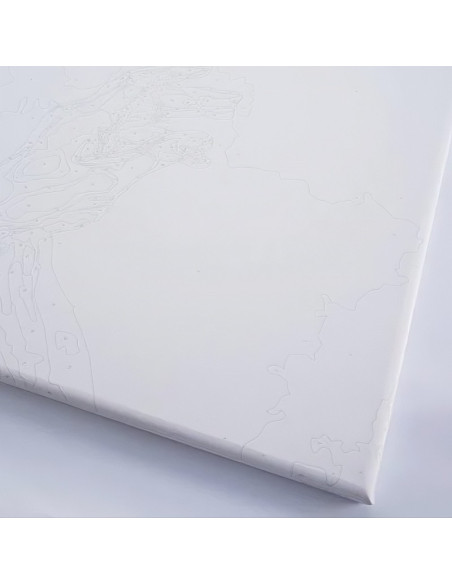 Set Pictura pe numere 40x50cm, Brushme - vals - panza, cadru de lemn, pensule, culori acrilice, BS52217