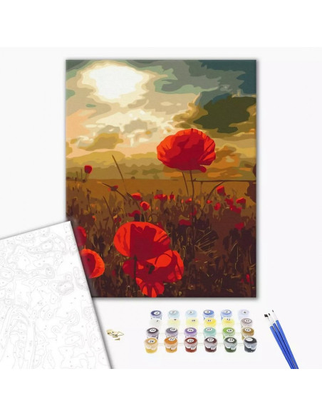 Set Pictura pe numere 40x50cm, Brushme - Camp cu maci - panza, cadru de lemn, pensule, culori acrilice, BS51961